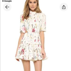 Gorgeous Zimmerman runway dress worn once